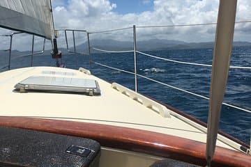 Vela de meio dia e snorkel com as tartarugas