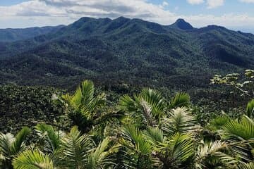 Tour por la selva tropical, toboganes y playa de El Yunque con transporte