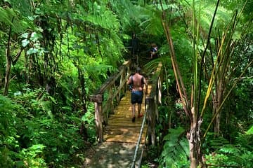 El Yunque National Forest and Luquillo Beach Tour