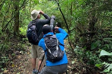 Passeggiata mattutina alla Riserva Forestale di Monteverde Cloud - Monteverde Wild -