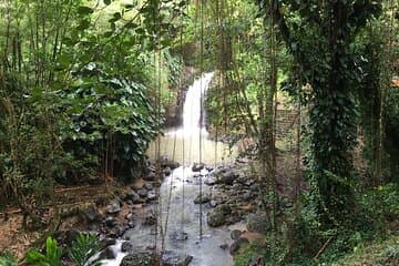 Grenada auf einen Blick - Deluxe Island Tour