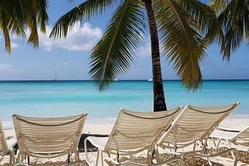 Grupo pequeño: excursión de día completo a la isla Saona