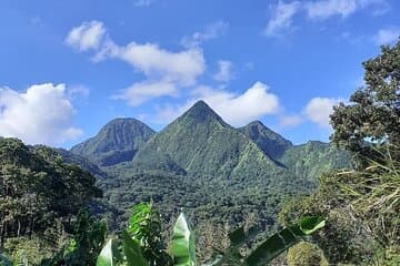 Tour de medio día por la naturaleza y el panorama en Martinica