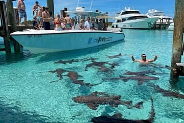 Exuma Island Hopping Schwimmschweine Tour mit Mittagessen ab Nassau