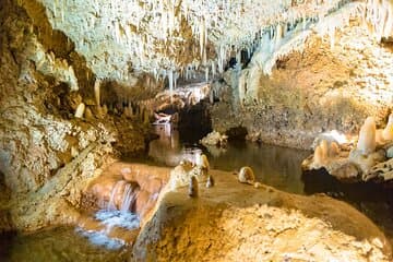 Tour a la cueva de Harrison en Barbados