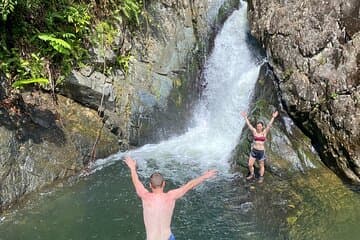 Tour guiado de medio día por la selva tropical de Yunque 