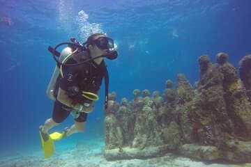 MUSA Mergulho para iniciantes em Cancun