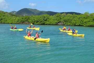O melhor de Mangrove Lagoon Kayak, caminhada e mergulho com snorkel e piquenique
