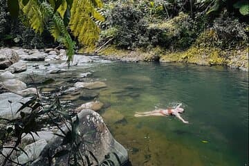El Yunque National Forest Guided Tour with Transport