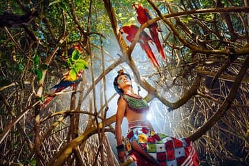 Accès Xcaret Park Plus avec transport et spectacle nocturne