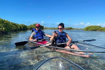 Mangrove Cay und Iguana Island Tours