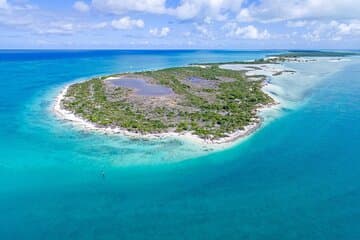 Mangrove Cay und Iguana Island Tours
