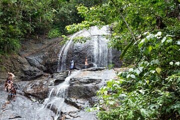 Randonnée dans la forêt pluviale et safari en cascade