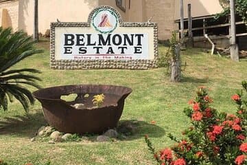 Tour de día completo: Belmont Estate, destilería de ron, Grand Etang