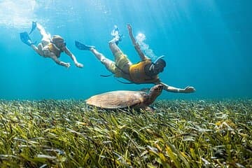 Aventura 5 em 1 em Cancún: Tartarugas, recife, musa, naufrágio, cenote