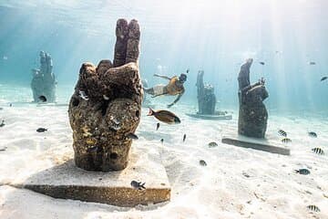 Mit Schildkröten, Schiffswrack, Cenote und Riff und Transport inklusive