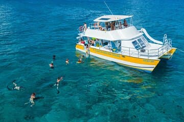 Halbtageskreuzfahrt am Nachmittag von Providenciales mit Schnorcheln und Iguana Island