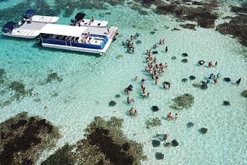 Stingray City Antigua para todas as idades - ida e volta