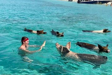 Famosa esperienza con sabbia rosa e maiale alle Bahamas con snorkeling