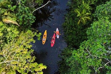 Puerto Viejo Tour de Perezosos en la jungla y en el río con kayak