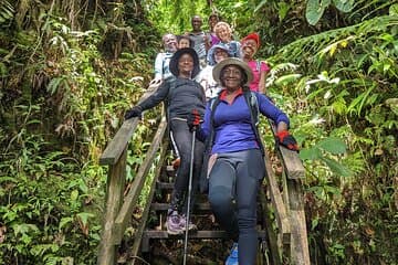 7-stündige Wildtier-Entdeckungstour in Dominica