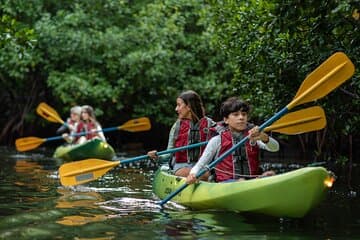 Aventure de kayak bioluminescent de nuit de baie à Porto Rico