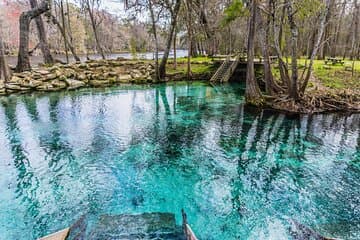 St. Johns River Kreuzfahrt - Blue Spring State Park