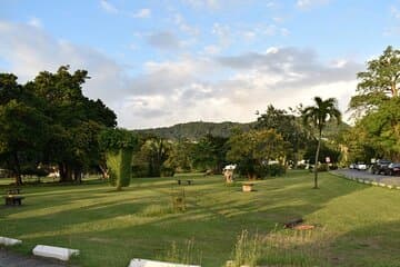 Détendez-vous dans les sources chaudes et nagez dans les gorges de Titou et les chutes de Trafalgar