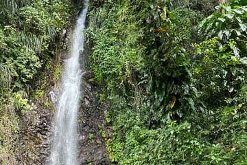 Expérience amusante et exaltante à Dark View Falls