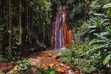 Aventure de chutes d'eau et de bains de minéraux et de boue en diamants de Sainte-Lucie 