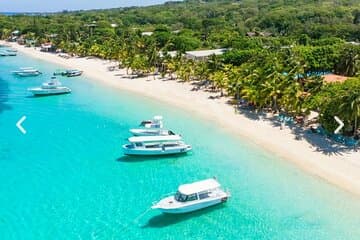 West Bay Beach Break / Monkey and Sloth Sanctuary