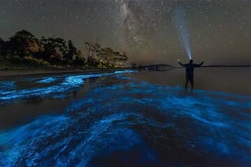 Grand Cayman Bioluminescent Bay Adventure
