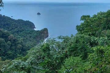 Imersão selvagem: Caminhadas no coração da floresta tropical