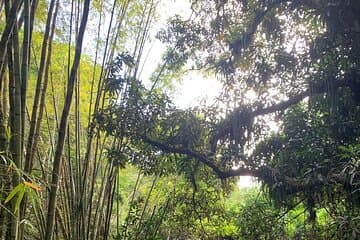 Escorregar para a aventura: Caminhadas e tobogãs naturais