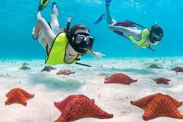 Cayman Adventure Stingrays Starfish plus Crystal Caves 