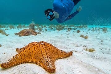 Excursión combinada a las Islas Caimán: mantarrayas, Starfish Point y Crystal Caves