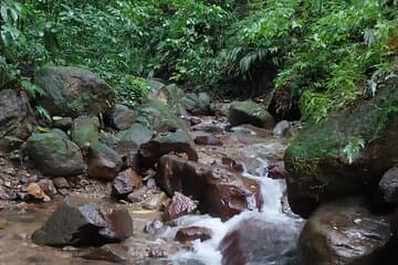 Escorregar para a aventura: Caminhadas e tobogãs naturais