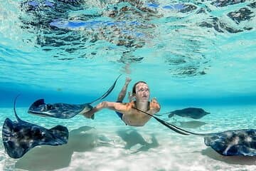 Cayman Adventure Stingrays Starfish più Crystal Caves 