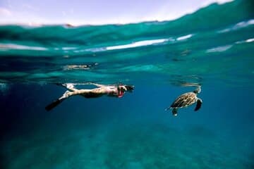 Rose Island Adventure: Snorkel, Sea Turtles, and Private Beach