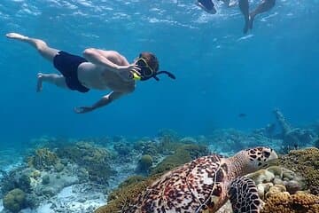 Tour privato di snorkeling con capitano e guida Bonaire Marine Park