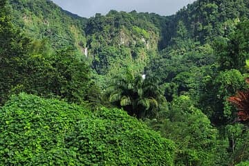 Restaurantes em Dominica Scenic Waterfalls and Hot Springs @ Autop Tours