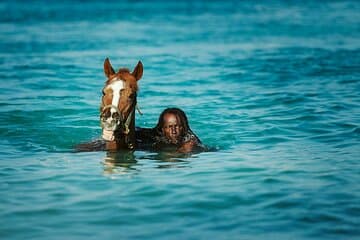 Experimente los caballos de natación en Carlisle Bay & the Garrison