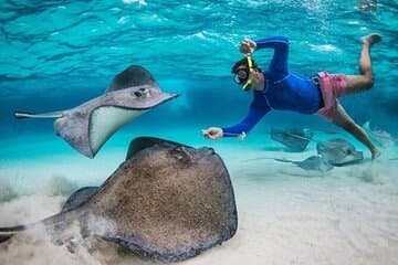 Banco de arena de Stingray City, snorkel en Coral Gardens y Star Fish Point