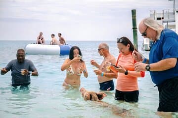 Schwimmschweine von Rose Island Wassertaxi & Schildkröte Besichtigung Nassau