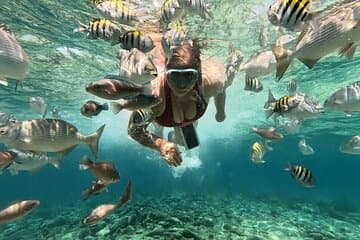 Rosario Islands and Playa Blanca Tour with Snorkeling or Aquarium