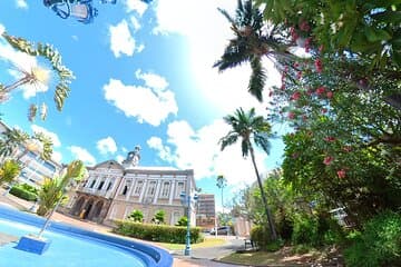 Visita a la capital y a la selva tropical - 1/2 día