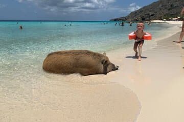 10 Posti a sedere Van privato Beach hopping (AC) personalizzabile