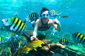 5 Stop Boat Tour Rosario Islands with Lunch, Forts, & Snorkeling