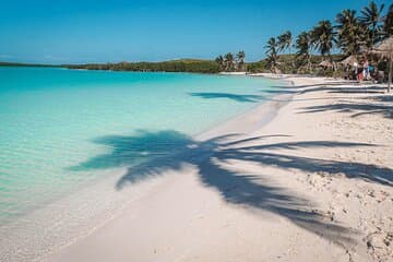 Évasion sur la plage : Isla Contoy et Isla Mujeres avec plongée en apnée.