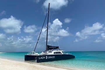 Velocidade de mergulho de meio dia de luxo no Lady Grace Luxury Catamaran